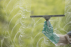 Window Cleaning Services in Mid-Michigan